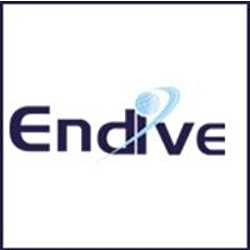 Endive Software-logo