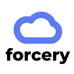 Forcery Salesforce Consultants New York City-logo