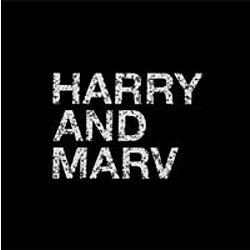 Harry and Marv Media-logo