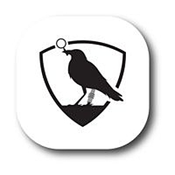 Heed Risk Management-logo
