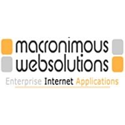 Macronimous Web Solutions-logo
