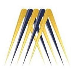 MetaSense Marketing-logo