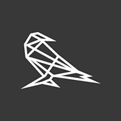Rayvn Design-logo