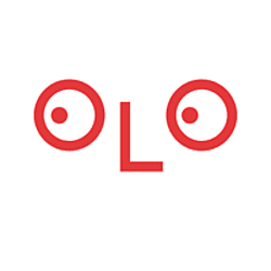 SOLOMENKO DESIGN-logo