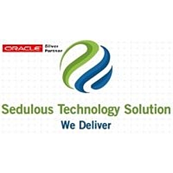 Sedulous Tech Solutions LLC-logo