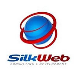 SilkWeb Consulting & Development LLC-logo