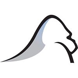 Silverback Strategies-logo