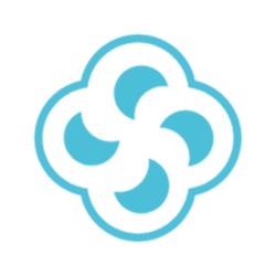 Survin IT Solutions-logo