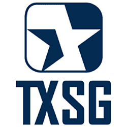 Texas Systems Group-logo