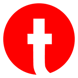ThoughtWin IT Solutions Pvt Ltd-logo