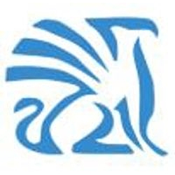Valiance Solutions-logo