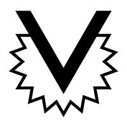 Virtue Security-logo