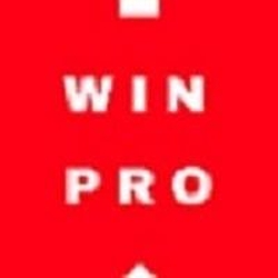 Win-Pro Consultancy Pte Ltd-logo