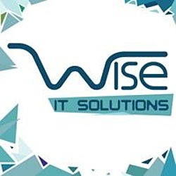 Wise LLC-logo