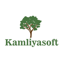kamliyasoft services private limited-logo