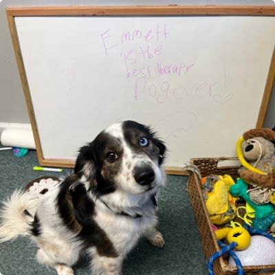 Photo of Soul Friends, Inc