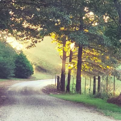 Photo of Hawk's Nest Counseling