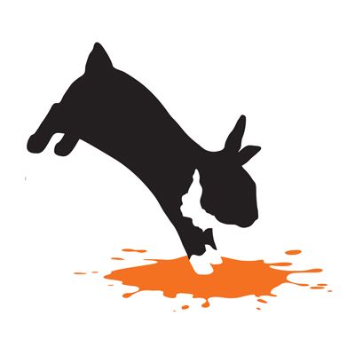 Photo of Spotted Rabbit Creative Arts Therapy