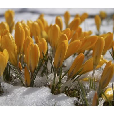 Photo of Women's Counseling of Nashua