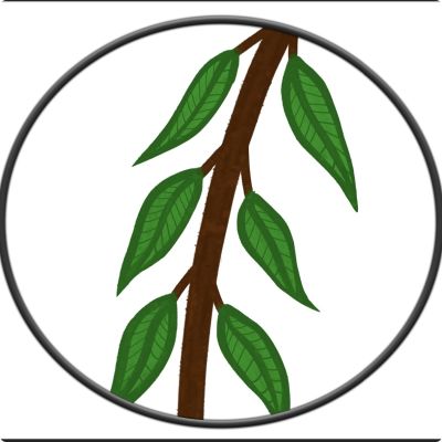 Photo of Willow Branch Counseling