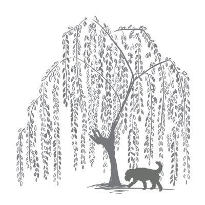 Photo of The Willow Space for Trauma Treatment