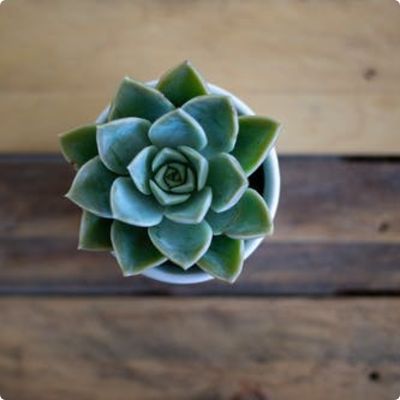 Photo of Parkland Nutrition