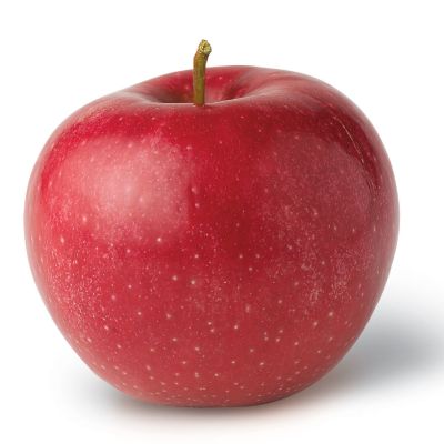 Photo of Apple Counseling Services, LLC