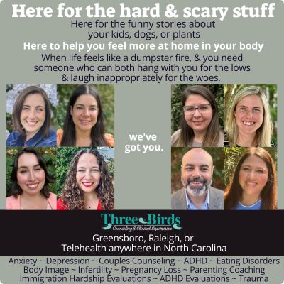 Photo of Three Birds Counseling & Clinical Supervision