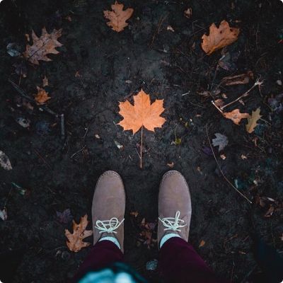 Photo of Leaves of Change Counseling