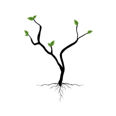 Photo of Xylem Psychotherapy