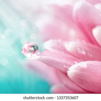 Photo of Erin Cravens Counseling