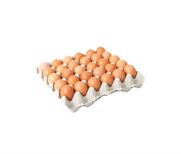 Eggs