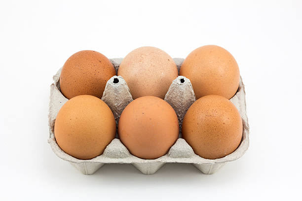 Protein