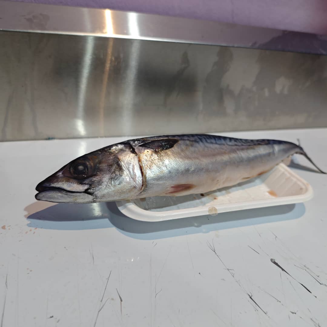 Mackerel Fish (250g-300g)