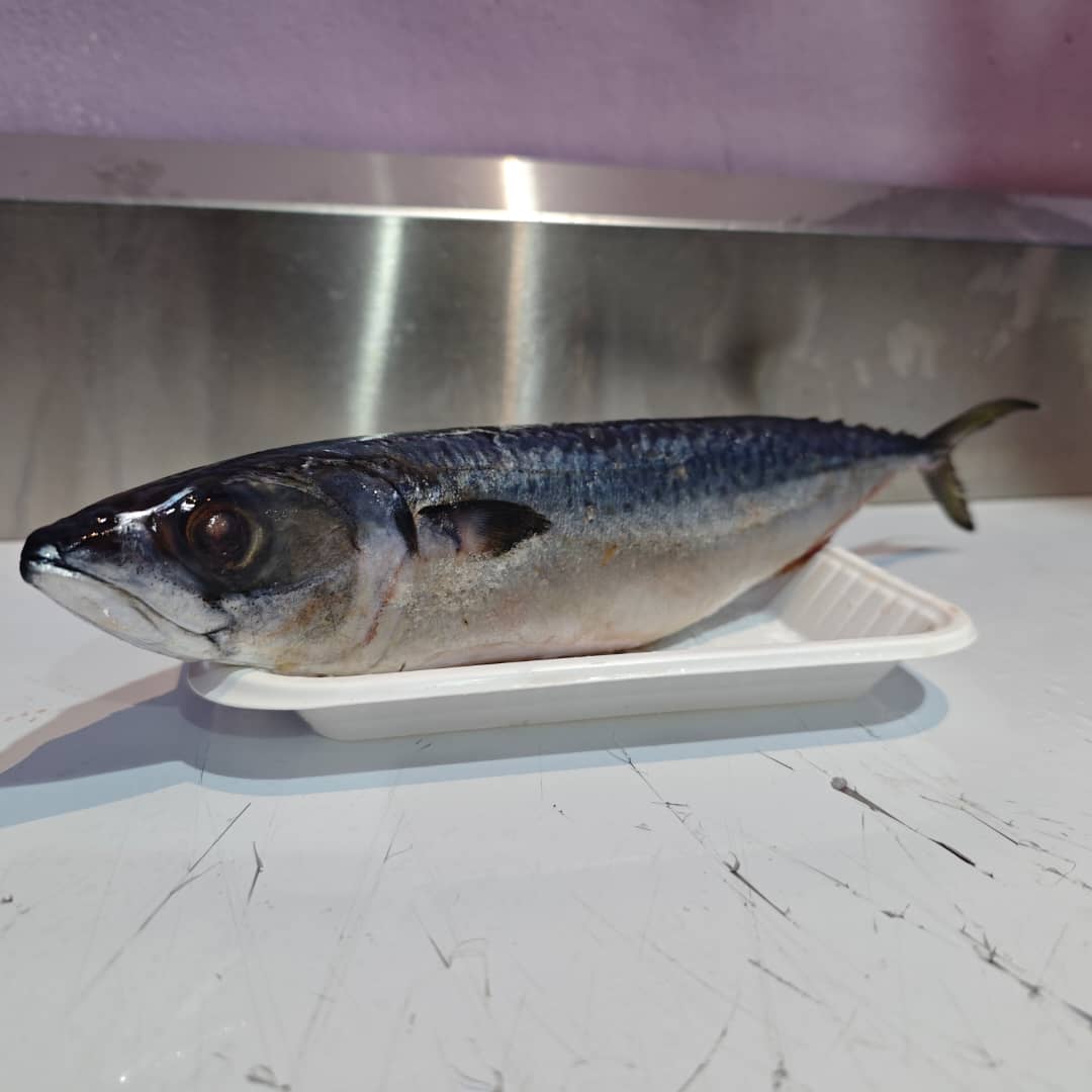Mackerel Fish (350g-400g)