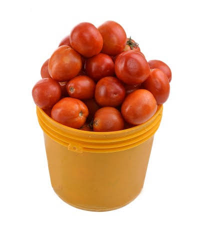 Tomato (Full Painter) 3300 grams