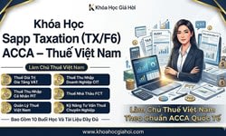 Khóa Học Sapp Taxation (TX/F6) ACCA – Thuế Việt Nam