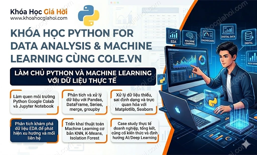 Khóa Học Khóa Python For Data Analysis & Machine Learning Cùng Cole.vn