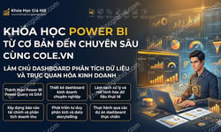 Khóa Học Power BI Từ Cơ Bản Đến Chuyên Sâu Cùng Cole.vn