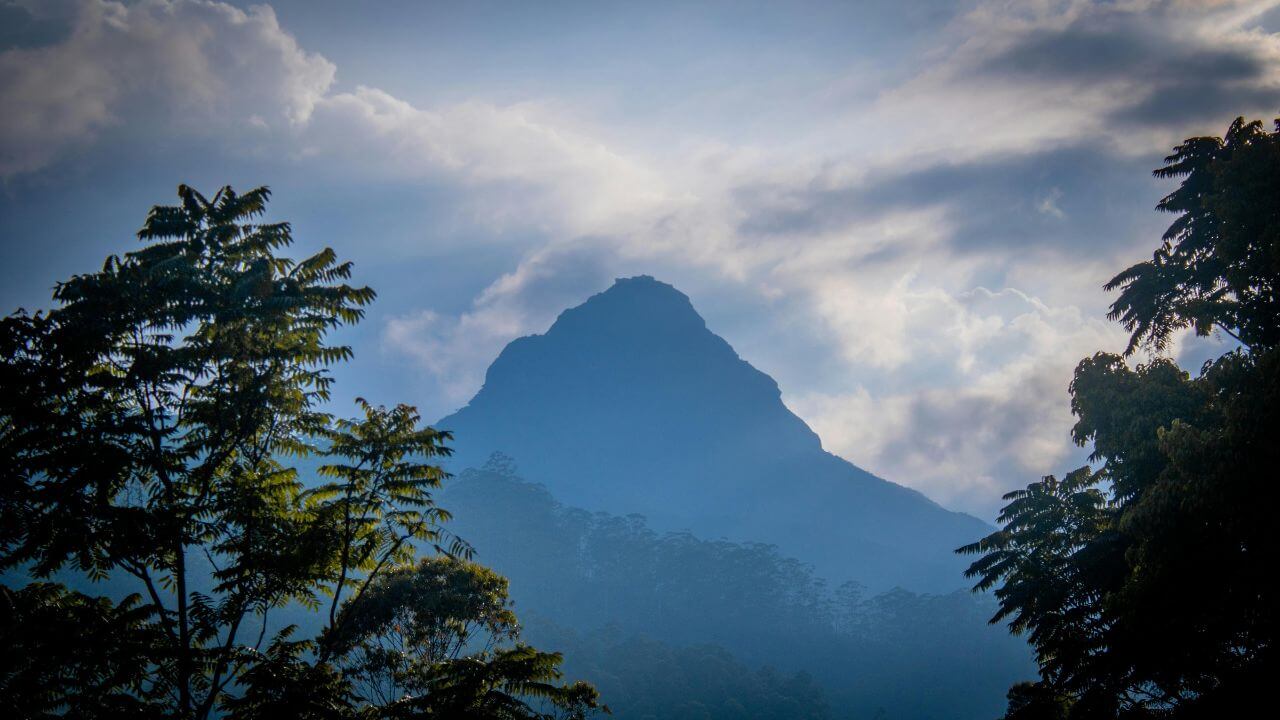 credit-pexels adamspeak srilanka credit-pexels adamspeak srilanka