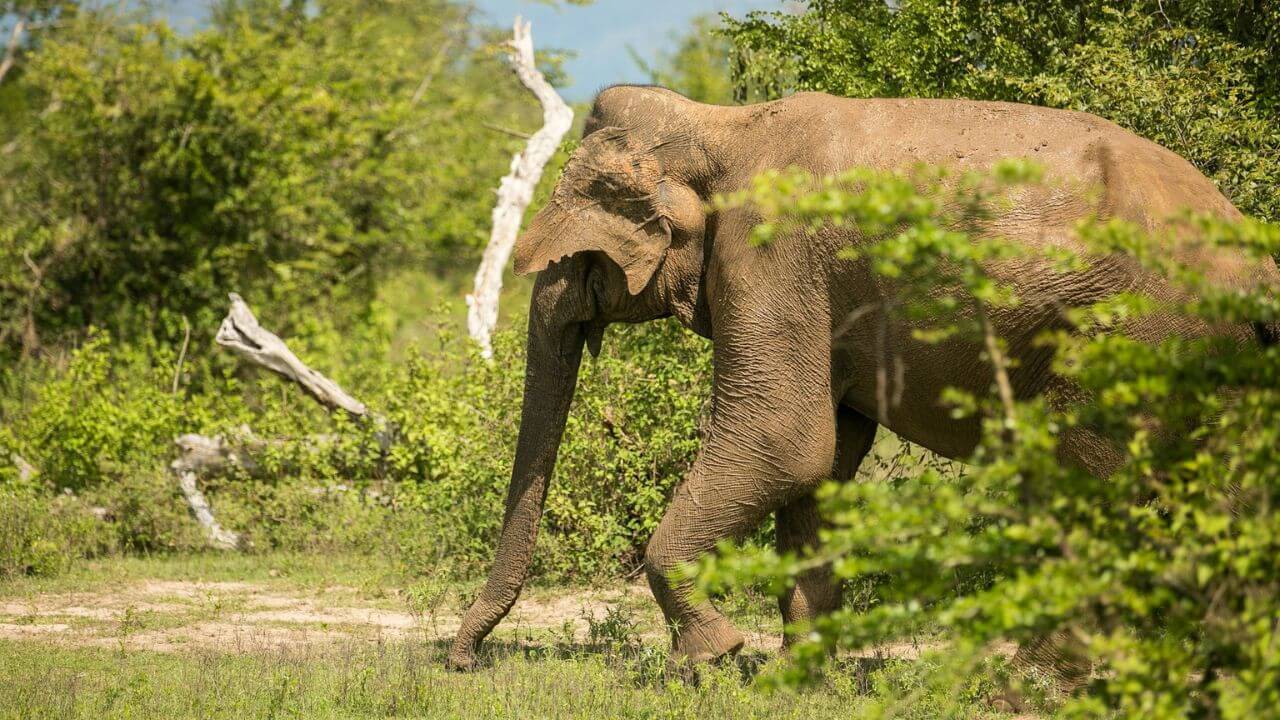 credit unsplash national park