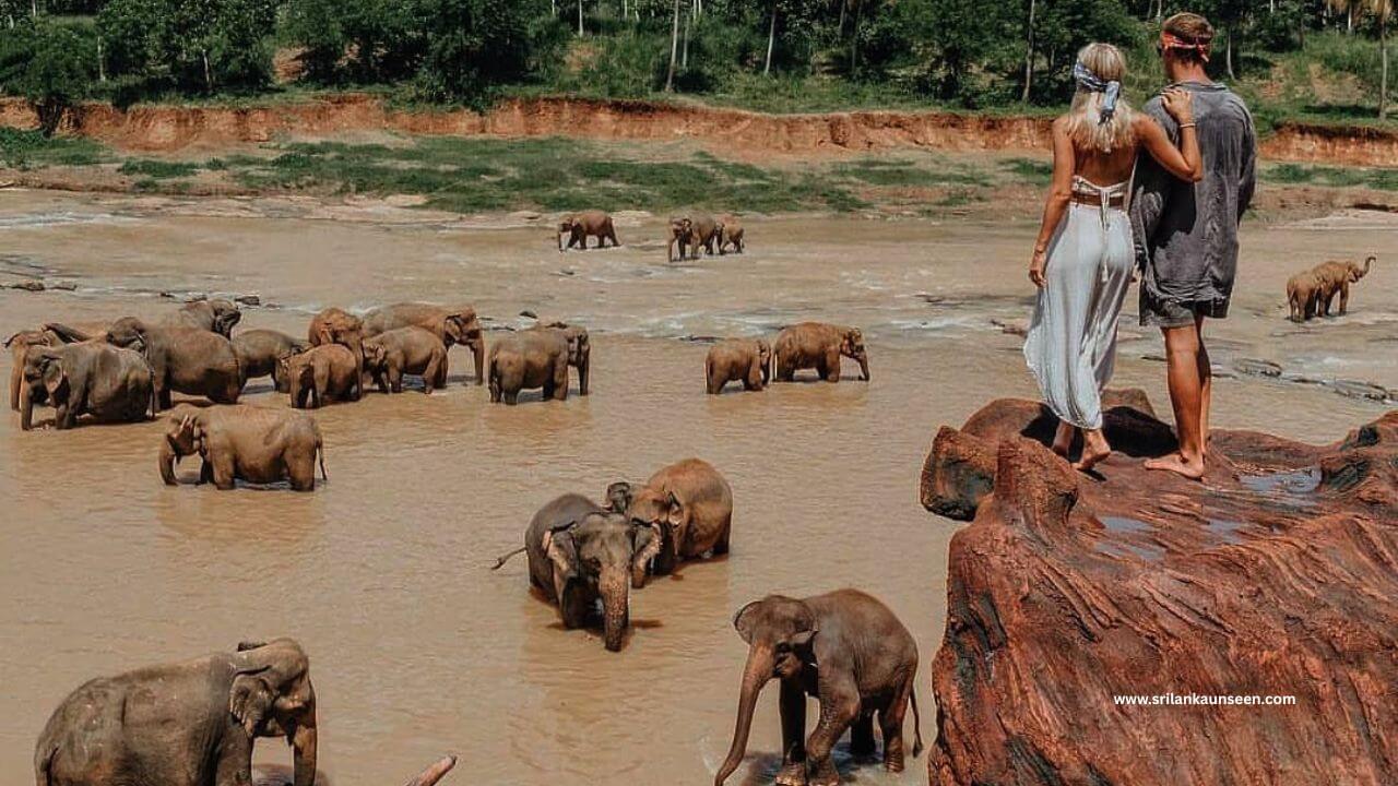 photo credit@best_daily_post