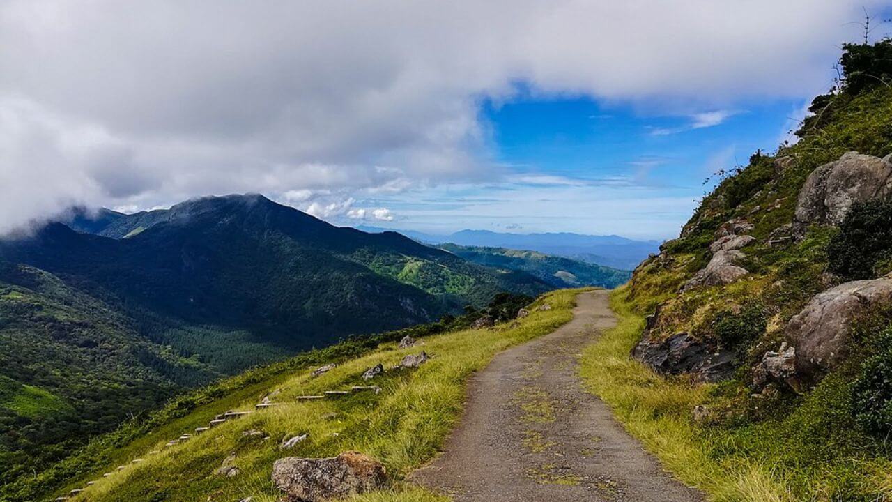 credit pixabay credit pixabay