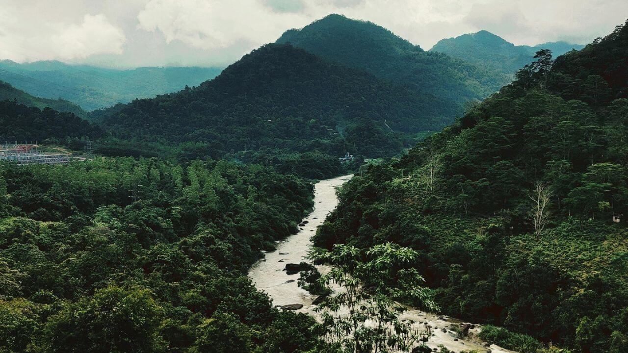 credit-pixabay udawaththa kale srilanka credit-pixabay udawaththa kale srilanka