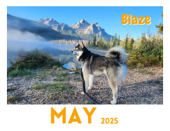 April 2025 - March 2026 Paw Print Dog Calendar - discounts and promo ...