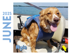 Paw Print Dog Calendar 2026