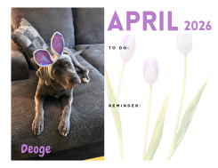 🐾 April 2026 - March 2027 Paw Print Dog Calendar 🗓️