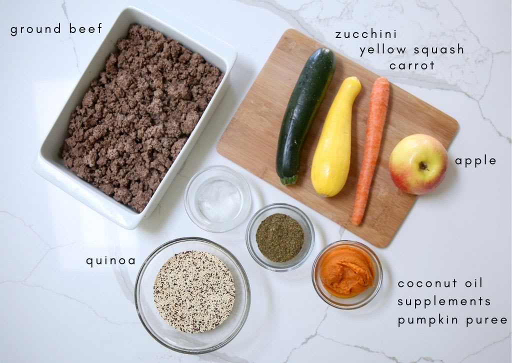 Visual Reference: What Food Can I Feed My French Bulldog Top Nutritious