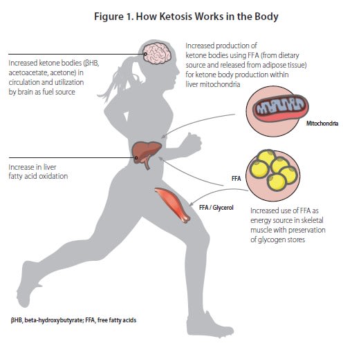 How Does Ketosis Work in the Body? | How Ketosis Works | Healthy Diet ...