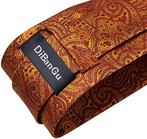 Vue 5 de Cravate Et Mouchoir De